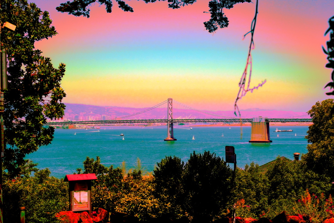 Vivid Edit 1